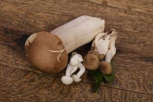 Raw Asian mushroom - ready for cooking photo