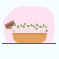 microgreen mustard in a clay pot grown at home. vector