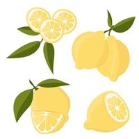 Set with lemons. Citrus cutting into slices, slices, circles. Ripe fresh lemons on a tree branch. vector