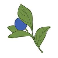 Blueberry branch minimalistic flat and line style.sprig of blueberries with leaves and berries vector