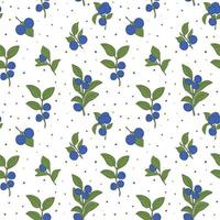 Seamless pattern with fresh blueberries, blueberry bushes. Pattern for textiles, wrapping paper vector