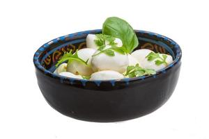 Mozzarella with herbs in the bowl photo