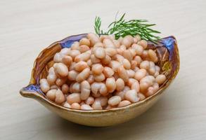 White canned beans photo