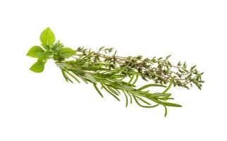 Fresh aroma herbs photo