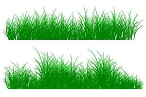 green grass, meadow vector