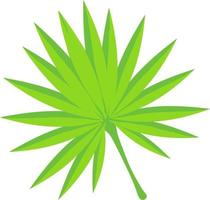 Tropical green leaf. vector