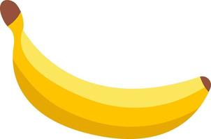 Banana is a yellow fruit. vector