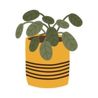 Botanical decorative leafy plant Maranta in Scandinavian pot in boho style vector