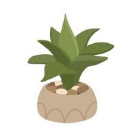 Botanical plant succulent aloe in Scandinavian pot in boho style vector