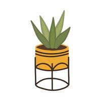 Botanical plant succulent haworthia in Scandinavian pot in boho style vector