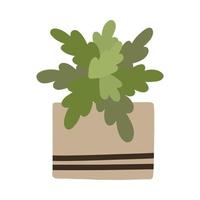 crotón de plantas frondosas decorativas botánicas en maceta escandinava al estilo boho vector