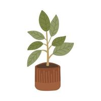 planta frondosa decorativa botánica dieffenbachia en maceta escandinava al estilo boho vector