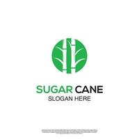Sugar cane logo design concept, cane sugar logo in circle, template icon vector