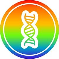 DNA chain circular in rainbow spectrum vector