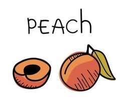 Hand drawn peaches illustration. Vector doodle peaches fruit icons.