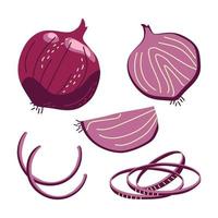 Red onion in whole and sliced form vector