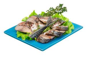 Mackerels on white background photo