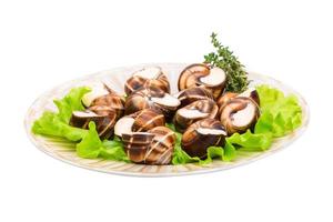 Escargot snails on a plate photo