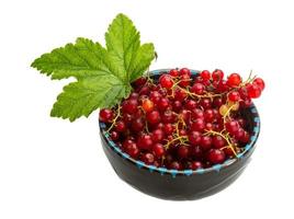 Red currant isolated on white background photo