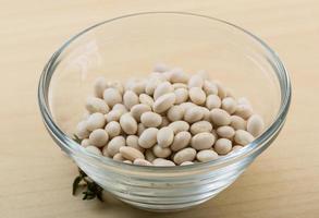 White dry beans photo