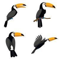 Toucan icons set, flat style vector