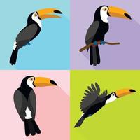 Toucan icons set, flat style vector