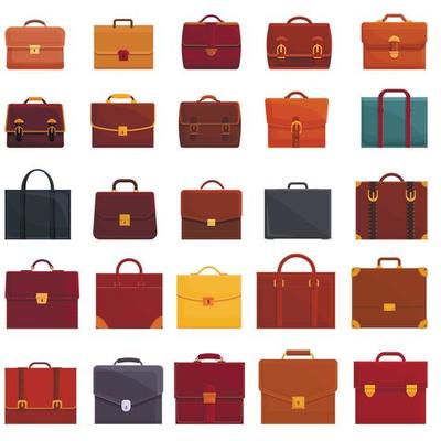 Briefcase icons set, cartoon style