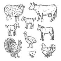 conjunto de iconos detallados de animales de granja, estilo de contorno vector