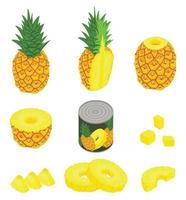 Pineapple icons set, isometric style vector