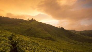 Timelapse sunset at Cameron Highlands, Malaysia. video