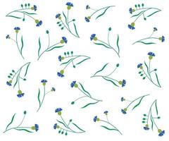 pattern of blue cornflowers on a white background vector