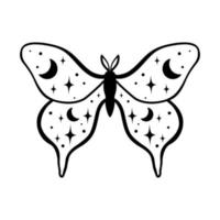 Night moth with crescent moon isolated on white . Hand drawn celestial doodle moth vector. vector