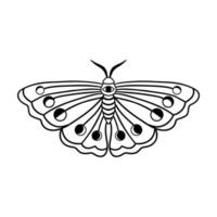 Night moth with crescent moon isolated on white background . Hand drawn celestial doodle moth vector. vector