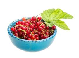 Red currant in the bowl photo