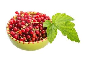 Red currant in the bowl photo