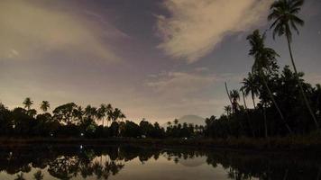 Timelapse night of Malay rural kampung plantation video