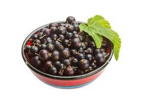 Black currant in the bowl photo