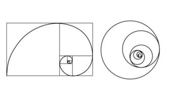 proporción áurea de línea delgada vector