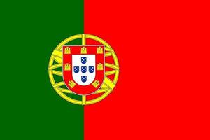 Flag of portugal vector