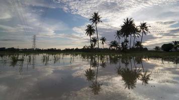 timelapse pôr do sol sobre a ilha de coco refletir video