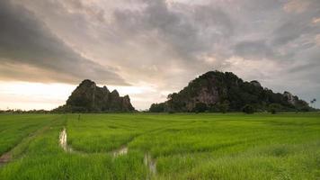 Limestone hill near paddy rice field at Kodiang video
