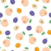 patrón sin costuras de melocotón, ciruela y albaricoque. frutas de verano sobre fondo blanco. diseño para tela, textiles para el hogar, papel para envolver vector