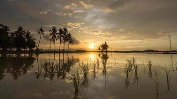 Time lapse reflection colorful clouds on a coconut video