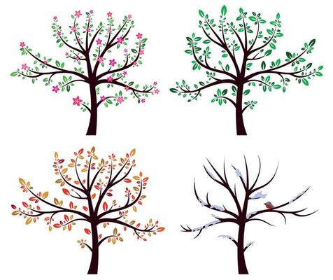 Set of trees