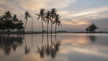 solnedgång vid reflektion av kokospalmer video