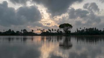 timelapse vista riflessione albero naturale video