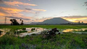 trator do nascer do sol de timelapse no arrozal video