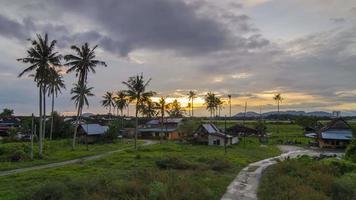 Timelapse sunset of the agriculture farm video