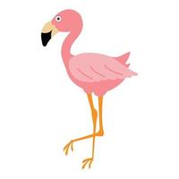 Cute pink flamingo on a white background vector