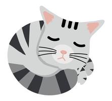 Cute sleeping cat cartoon vector